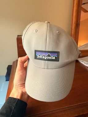 Patagonia Light Gray Logo Baseball Cap